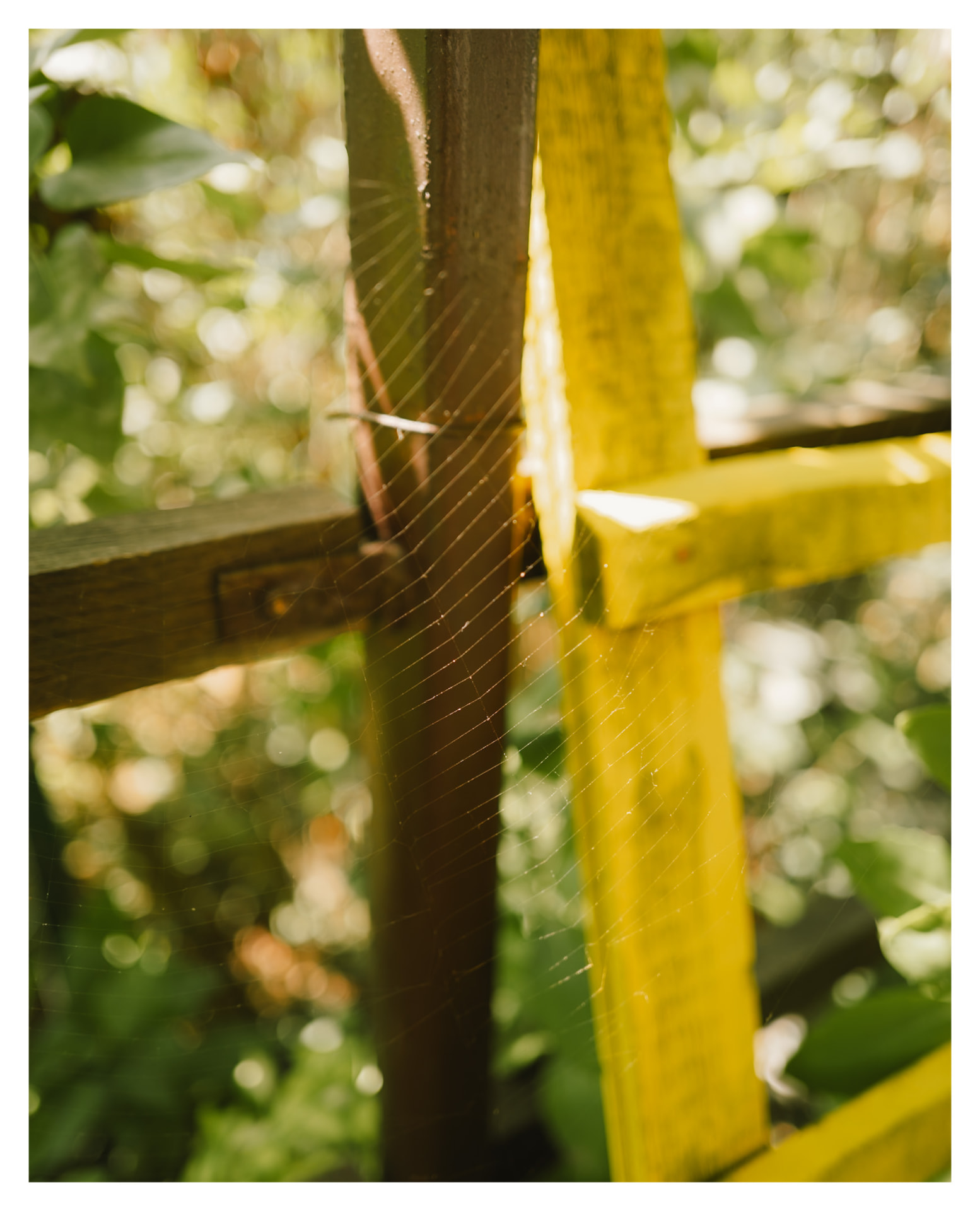 Spider web strung between a weathered and a yellow fence post