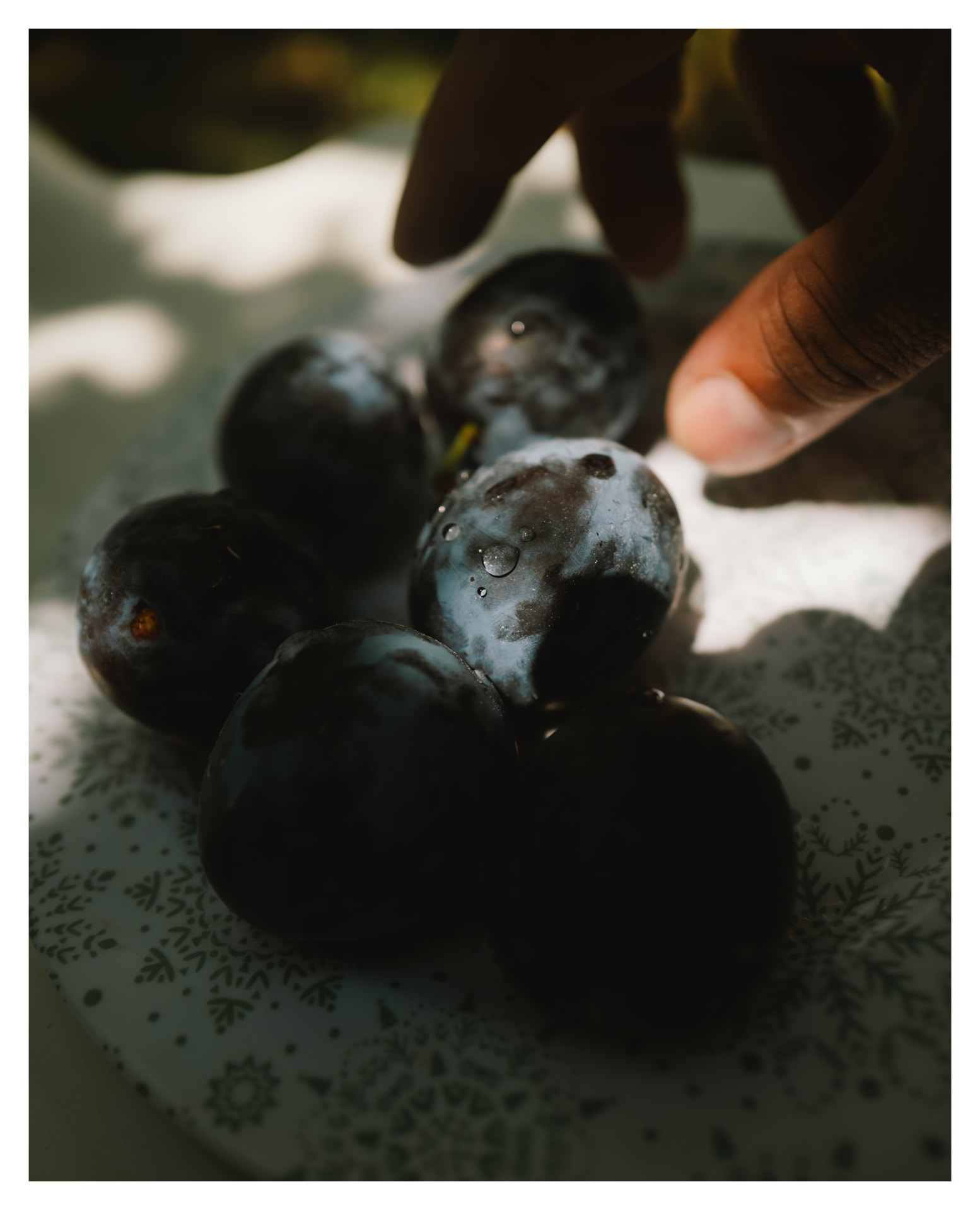 Hand reaching for dark plums on a patterned plate in low light